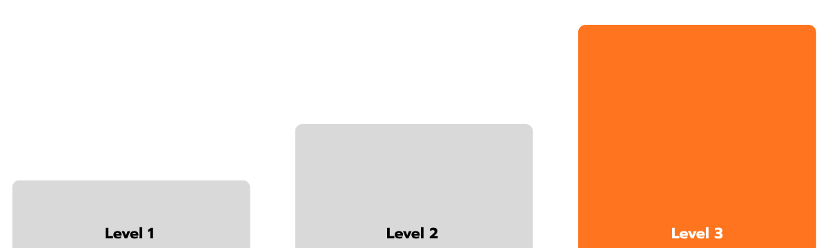 3 Level Learning